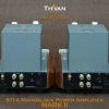 Thivanlabs-811A-Monoblock-MKii-4 Thivanlabs-811A-Monoblock-MKii-4